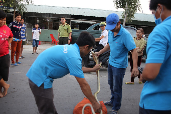 Chống dịch Covid-19: Cục Kiểm lâm truy quét chợ chim lớn nhất nước ảnh 4