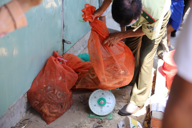 Chống dịch Covid-19: Cục Kiểm lâm truy quét chợ chim lớn nhất nước ảnh 2