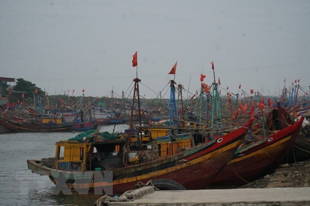 Trà Vinh: Sản lượng đánh bắt thủy sản giảm gần 12.000 tấn ảnh 1