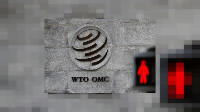 UAE đệ đơn khiếu nại lệnh cấm hàng hóa của Qatar lên WTO ảnh 1