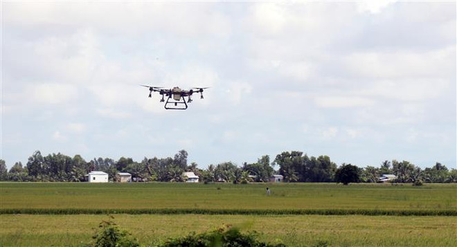 Hợp lực chuyển đổi bền vững nông nghiệp Đồng bằng sông Cửu Long ảnh 2