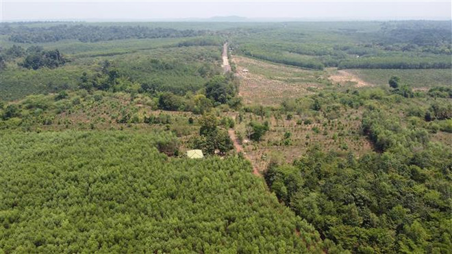 Kiến nghị không xây dựng đường Bình Phước-Đồng Nai qua cầu Mã Đà ảnh 2