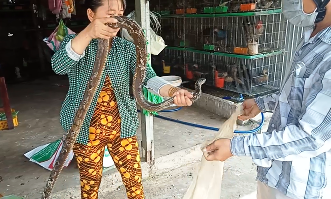 Từ bỏ thói quen ăn động vật hoang dã chặn nguy cơ lây truyền dịch bệnh ảnh 3