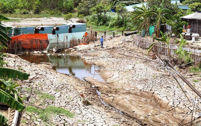 Vựa lúa số 1 Việt Nam: Xâm nhập mặn có xu thế giảm nhưng vẫn lo! ảnh 3