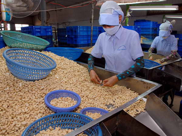 Mô hình hợp tác kinh tế mới cho doanh nghiệp Việt Nam-Bulgaria ảnh 1