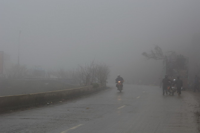 Nhiệt độ tại Sa Pa giảm mạnh xuống 4,8 độ C, sương mù dày đặc ảnh 1