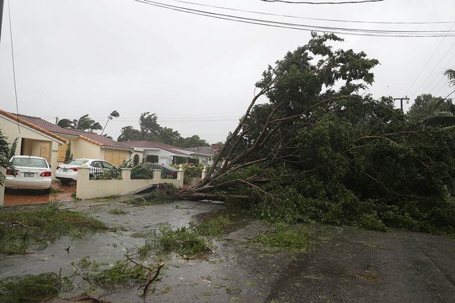 Mỹ: Siêu bão Irma quét qua các thành phố lớn ở bang Florida ảnh 1