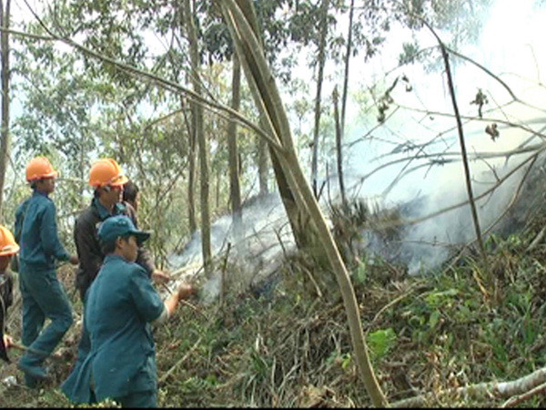 Nhiều khu rừng ở Sa Pa đang ở cấp độ báo cháy cực kỳ nguy hiểm ảnh 1