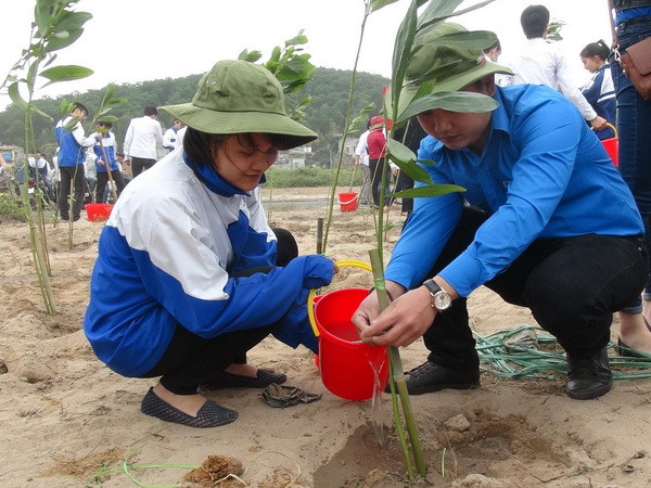 EVN phát động trồng cây hưởng ứng Chiến dịch Giờ Trái đất 2015 ảnh 1