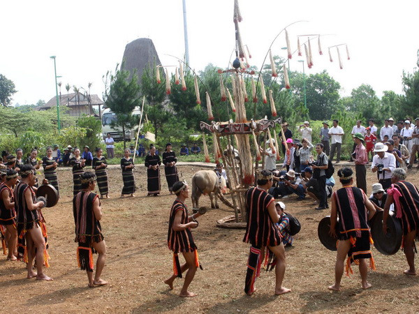 Bộ trưởng Hoàng Tuấn Anh: Cần loại bỏ các lễ hội bạo lực, phản cảm ảnh 1