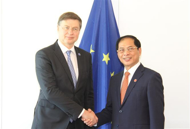 Chuyến làm việc thành công của Bộ trưởng Bùi Thanh Sơn tại Pháp ảnh 3