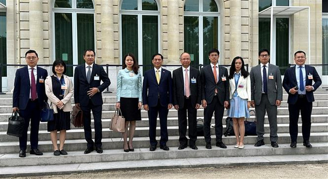 Chuyến làm việc thành công của Bộ trưởng Bùi Thanh Sơn tại Pháp ảnh 1