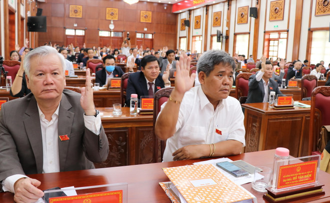 Kiện toàn nhân sự Hội đồng nhân dân và Ủy ban nhân dân tỉnh Gia Lai ảnh 2