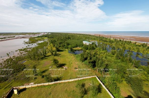Một góc Cồn Vành trong Khu Dự trữ Sinh quyển Châu thổ sông Hồng nhìn từ ngọn hải đăng Ba Lạt. (Nguồn: Báo ảnh Việt Nam) Vùng đất hoang dã của các loài chim nước và chim di cư quý hiếm ảnh 2