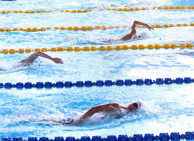 Việt Nam xếp thứ 2 tại giải bơi vô địch các nhóm tuổi Đông Nam Á ảnh 1