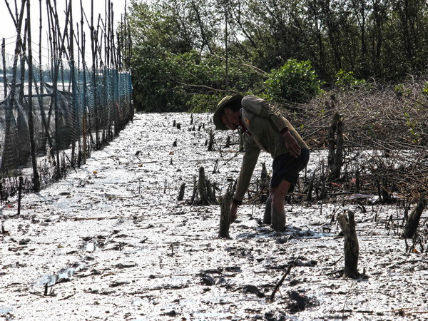 Đề nghị cách chức Chủ tịch UBND xã tự ý cho dân thuê đất bãi bồi ảnh 1