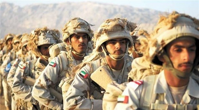 UAE và Malaysia hoàn thành tập trận quân sự chung "Hổ sa mạc 5" ảnh 1