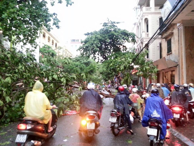 Mưa dông tiếp diễn trong chiều tối nay, cần đề phòng tố lốc ảnh 1