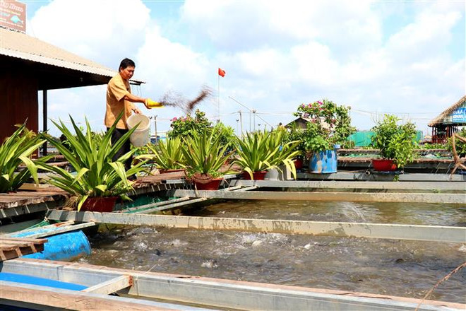 Người nông dân thành công với mô hình nông nghiệp kết hợp du lịch ảnh 1