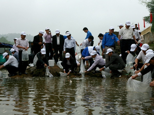 Tái tạo nguồn thủy sản trong Vùng đánh cá chung Vịnh Bắc Bộ ảnh 1