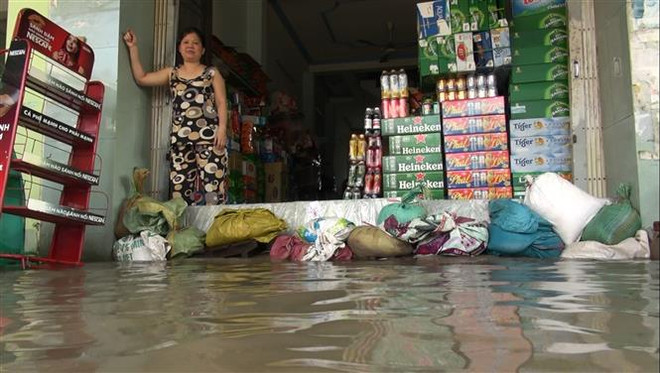 Đồng Tháp: Giải pháp tình thế nhằm ứng phó với triều cường ảnh 2