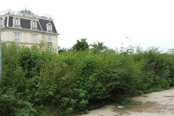 Buông lỏng quản lý đất đai ở TP.HCM: Nỗi buồn mang tên “Rạch Chiếc” ảnh 1