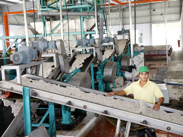 Một dây chuyền chế biến mủ cao su. Ảnh minh họa. (Nguồn: TTXVN) Đắk Lắk và Mondulkiri tăng cường hợp tác kinh tế-xã hội ảnh 1