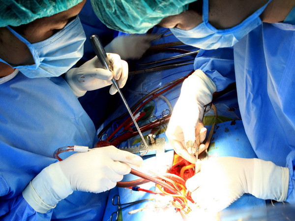 Hội thảo khoa học quốc tế về điều trị bệnh tim mạch ảnh 1