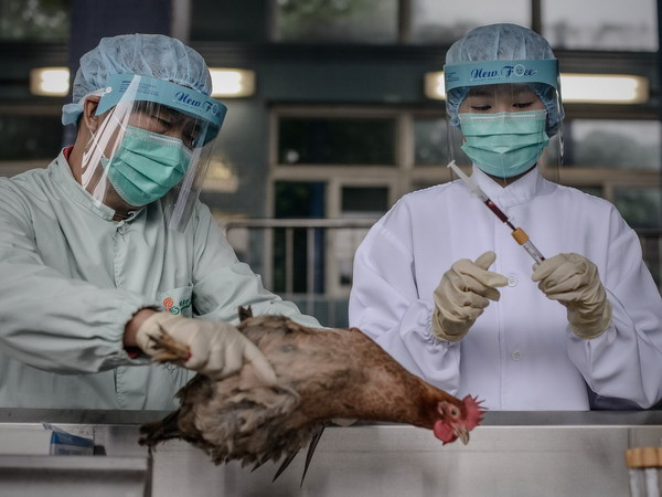 Trung Quốc phát hiện thêm bệnh nhân nhiễm cúm H7N9 ảnh 1
