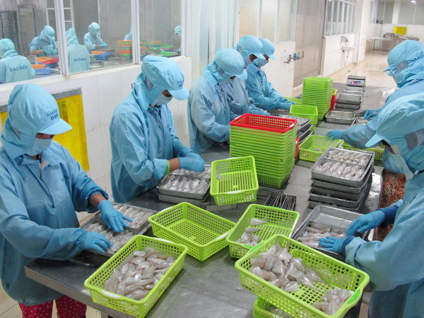 Chế biến thủy sản xuất khẩu tại Kiên Giang. (Nguồn: TTXVN) Ngành thủy sản Việt Nam nắm bắt cơ hội từ hội nhập ảnh 1