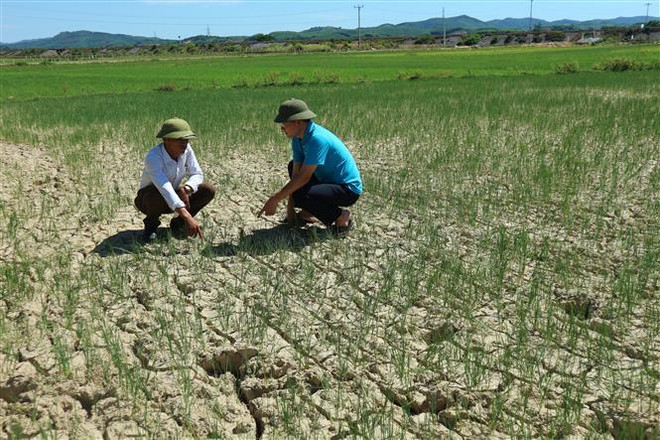 Bắc Bộ và Trung Bộ nắng nóng diện rộng, có nơi trên 38 dộ C ảnh 1
