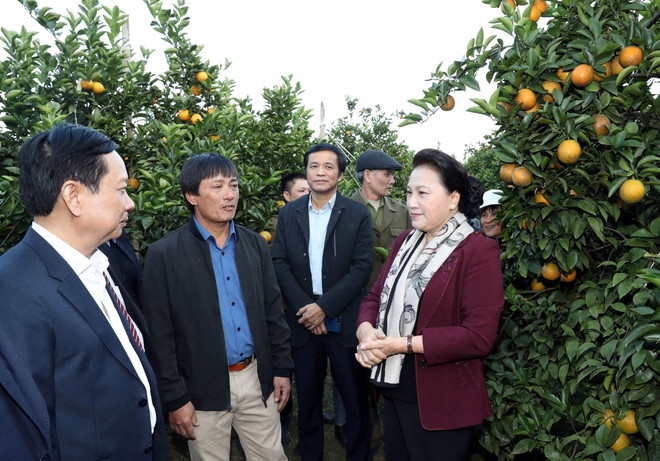 Khai mạc Tuần Văn hóa, Du lịch với chủ đề 'Hòa Bình - Miền sử thi' ảnh 2