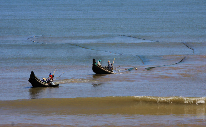Việt Nam bảo vệ và phát triển nguồn lợi hải sản vì một đại dương xanh ảnh 1