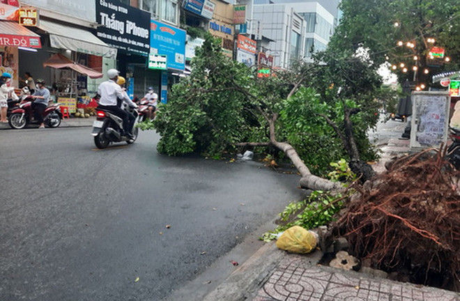 Thành phố Hồ Chí Minh: Bất ngờ xuất hiện mưa đá lúc giữa trưa ảnh 1