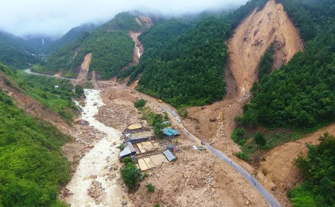 Lời nguyền của rừng xanh: 'Ăn của rừng rưng rưng nước mắt…' ảnh 1