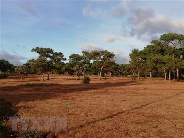 Ảnh minh họa. (Ảnh: TTXVN phát) Chấm dứt hoạt động Dự án đầu tư sân golf và khu nghỉ dưỡng Đà Lạt ảnh 1