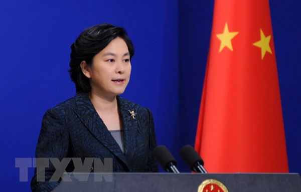 Trung Quốc hoan nghênh hội nghị thượng đỉnh Nga-Mỹ ảnh 1