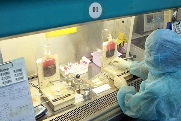 Nối dài sự sống, ước mơ của người bệnh từ ghép tế bào gốc ảnh 1