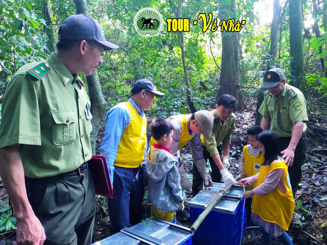 Một tour "Về nhà" tại Vườn quốc gia Cúc Phương. (Ảnh: Mạnh Quyền) Trường học giữa đại ngàn: 60 năm âm thầm lan tỏa tình yêu thiên nhiên ảnh 5