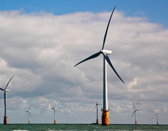 Khởi công Dự án Nhà máy điện gió Đầm Nại tổng vốn đầu tư 80 triệu USD ảnh 1