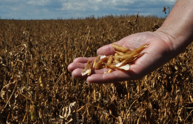 Biến đổi khí hậu khiến ngành thực phẩm, bơ sữa châu Âu gặp rủi ro ảnh 1