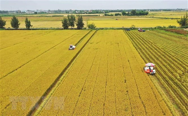 Ban hành Nghị quyết kéo dài thời hạn miễn thuế sử dụng đất nông nghiệp ảnh 1