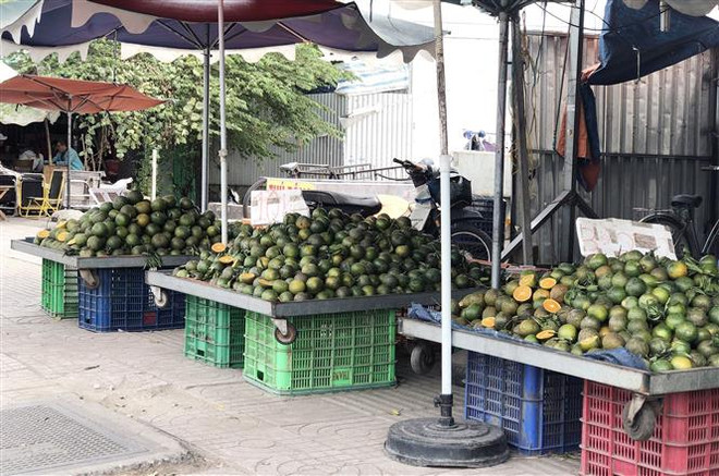 TP Hồ Chí Minh: Người tiêu dùng ưu tiên tạo đầu ra cho nông sản Việt ảnh 2