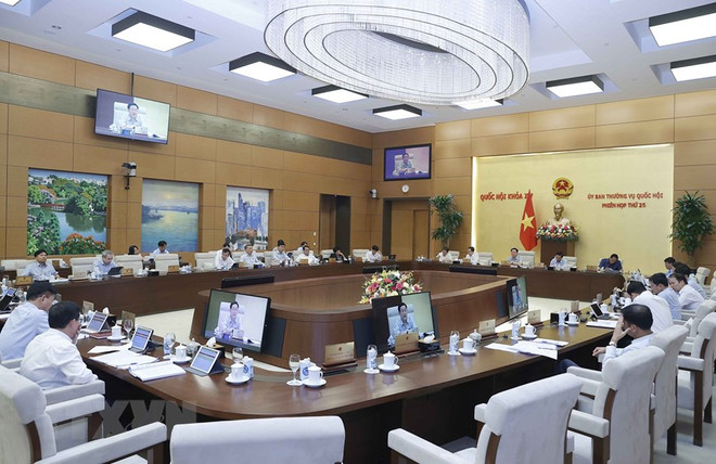 Khắc phục tình trạng 'thông đồng, dìm giá' trong đấu giá tài sản ảnh 2