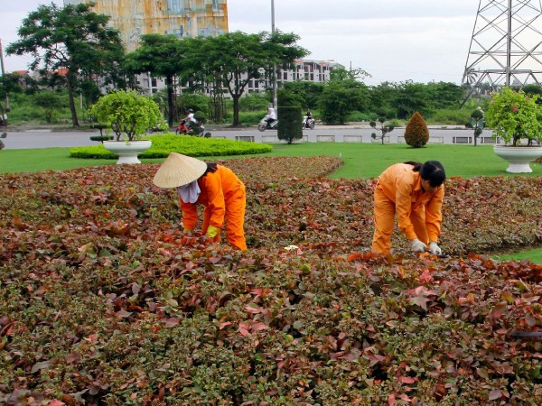 Hà Nội đặt mục tiêu tăng tỷ lệ bình quân cây xanh lên gấp 6 lần ảnh 1