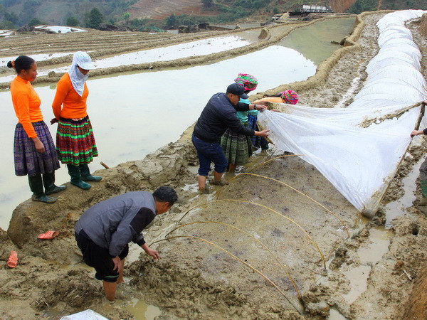 Không khí lạnh tràn về, Bắc Bộ trời rét, vùng núi xuống 11 độ C ảnh 1