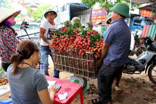 Một điểm thu mua vải tại xã Hồng Giang, huyện Lục Ngạn, Bắc Giang. (Ảnh: Thành Đạt/TTXVN) Vải thiều Bắc Giang được tiêu thụ mạnh nhờ chất lượng vượt trội ảnh 1