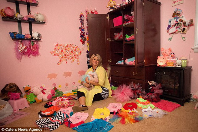 Ngỡ ngàng với cuộc sống xa xỉ như công chúa của... con lợn ảnh 1