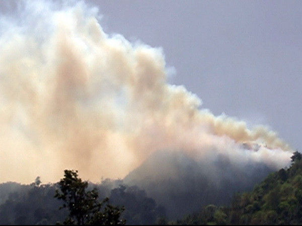 Đã dập tắt đám cháy tại Vườn Quốc gia Hoàng Liên ảnh 1