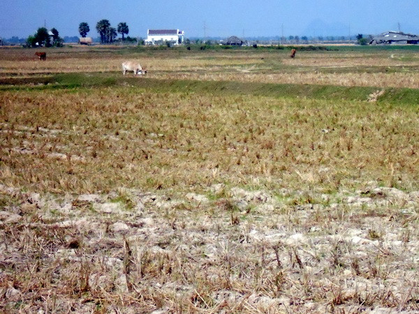 Nắng nóng tại Bắc và Trung Trung Bộ còn tiếp diễn đến ngày 26/8 ảnh 1